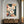 Frangipanis No.1 - Wild Tesserae Limited Edition of 50