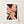 Frangipanis No.1 - Terracotta Reverie | Fine Art Paper Print