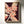 Frangipanis No.1 - Terracotta Reverie | Canvas Print