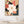 Magnolia No.1 - Wild Tesserae Limited Edition of 50