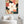 Magnolia No.1 - Wild Tesserae Limited Edition of 50