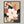 Magnolia No.1 - Wild Tesserae Limited Edition of 50
