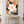 Magnolia No.1 - Wild Tesserae Limited Edition of 50