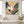 Strelitzia No.1 - Wild Tesserae Limited Edition of 50
