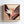 Strelitzia No.1 - Terracotta Reverie | Canvas Print