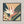 Strelitzia No.1 - Wild Tesserae Limited Edition of 50