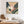 Strelitzia No.1 - Wild Tesserae Limited Edition of 50