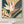 Strelitzia No.1 - Wild Tesserae Limited Edition of 50