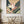 Strelitzia No.1 - Wild Tesserae Limited Edition of 50