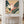 Strelitzia No.1 - Wild Tesserae Limited Edition of 50