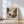 Strelitzia No.1 - Wild Tesserae | Fine Art Paper Print
