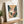 Strelitzia No.1 - Wild Tesserae | Fine Art Paper Print